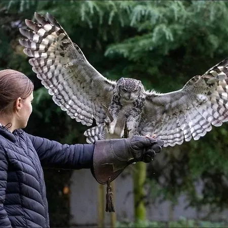 Apartmán Bird House - Sleep With The Owls! Carlisle (Cumbria)