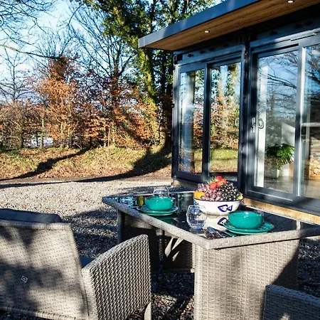 Daire Bird House - Sleep With The Owls! *