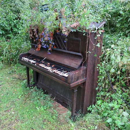 Daire Bird House - Sleep With The Owls!