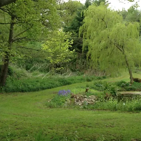 Апартаменты Bird House - Sleep With The Owls!