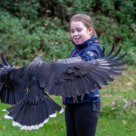 Bird House - Sleep With The Owls! Апартаменты