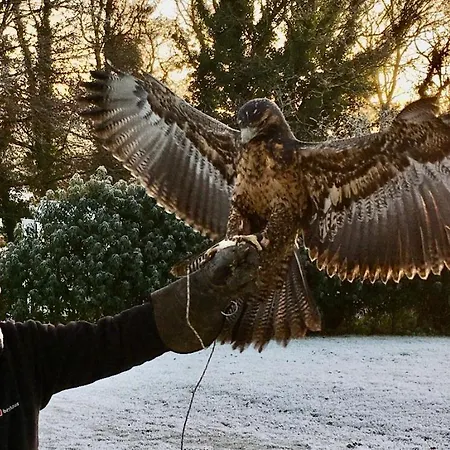 Bird House - Sleep With The Owls! Карлайл